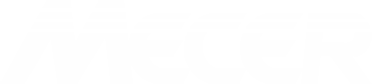 Mecer (UPS & Inverters)